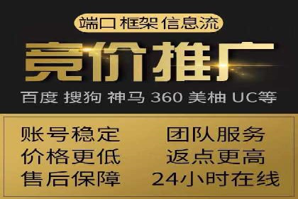 某某SEM服务公司成功案例：从数据出发的营销策略
